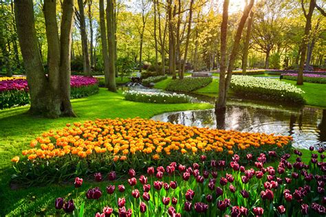 Buy a Keukenhof season ticket - Tulip Festival Amsterdam