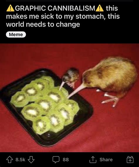 Kiwis eating kiwis : r/technicallythetruth