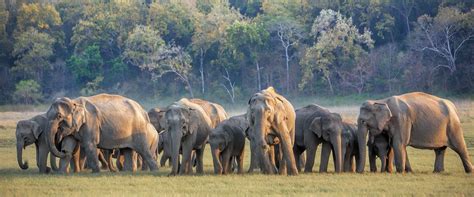 about corbett national park