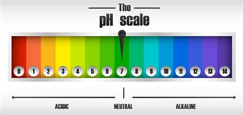 The ph scale diagram 589313 Vector Art at Vecteezy