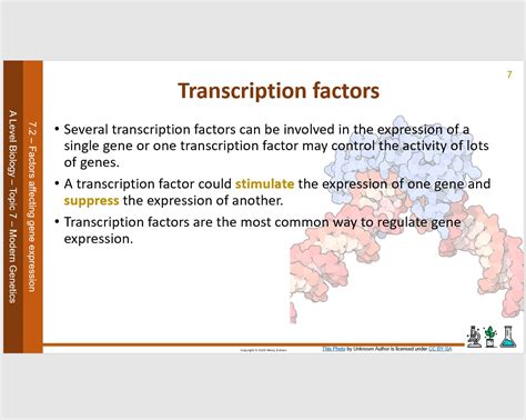 Gene Expression PowerPoint