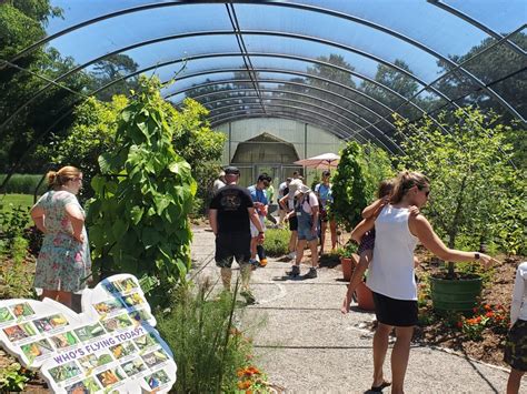 Summer Butterfly Exhibit – Norfolk Botanical Garden