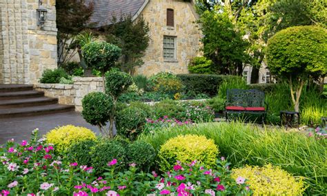 7 Texas Evergreen Shrubs Perfect for Your North Texas Landscape