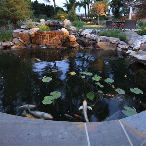 Waterfall & Koi Pond Design in Vienna Virginia