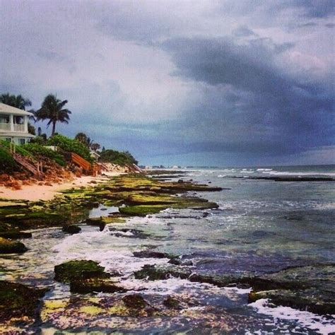 Point of Rocks Sarasota FL | Sarasota fl, Sarasota, Point of rocks