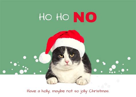 Cat Themed Christmas Cards Set of 5 Merry Christmas - Etsy