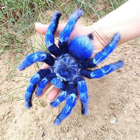 Ravelry: Cobalt Blue Tarantula pattern by Natali Batluk