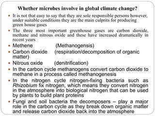 Role of microorganisms in climate change | PPT