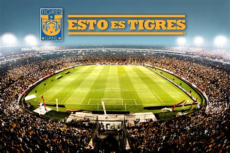 Tigres UANL Wallpapers - Wallpaper Cave