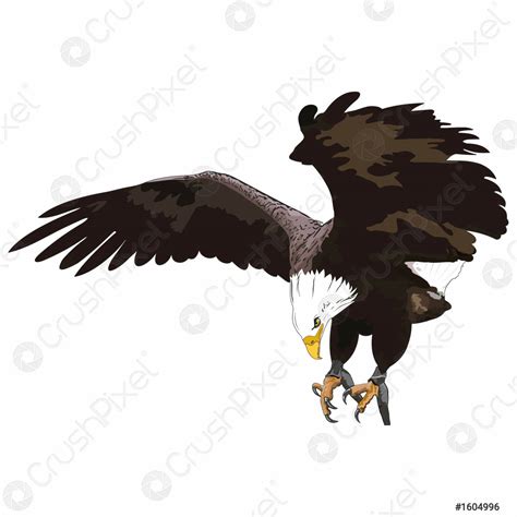 GOLDEN EAGLE - stock vector 1604996 | Crushpixel