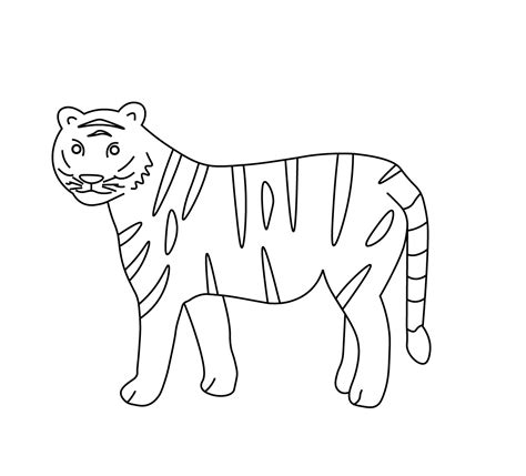 How to Draw a Tiger Step by Step