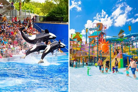 Cheap SeaWorld Orlando Tickets - How to save up to 35% - TourScanner