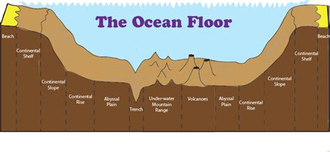 Ocean Floor Features Map | Review Home Co