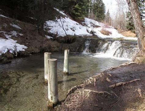 Big Hill Springs Provincial Park - Hiking Alberta | Hiking with Barry