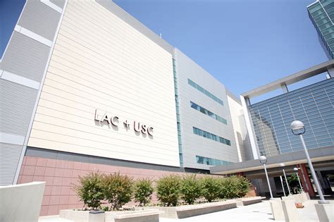 Los Angeles County + USC Medical Center unveils new name, branding ...