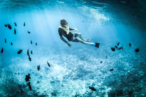 5 Best Snorkeling Spots In Kona