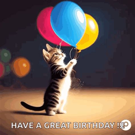 Birthday Cat Birthday GIF - Birthday Cat birthday Happy birthday cat ...