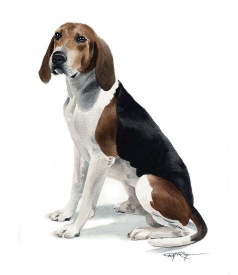 Darwing Treeing Walker Coonhound dog photo and wallpaper. Beautiful ...