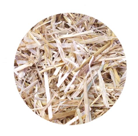 Wheat Straw Bedding - Bedding For Horses And Other Animals - Hawthorn