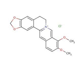 Berberine hydrochloride | CAS 633-65-8 | SCBT - Santa Cruz Biotechnology