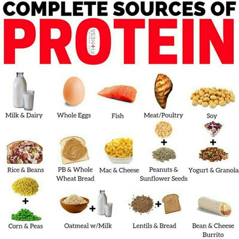 Vegan Foods List For Protein - Foods Details