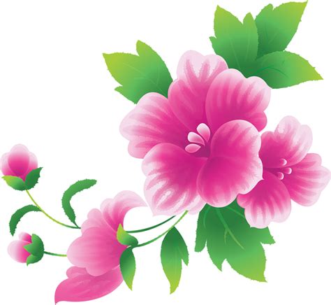 Flowers Images Free - Cliparts.co