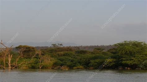 Baringo Lake landscape - Stock Video Clip - K008/4447 - Science Photo ...