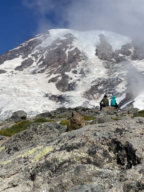 Mount rainier : r/hiking