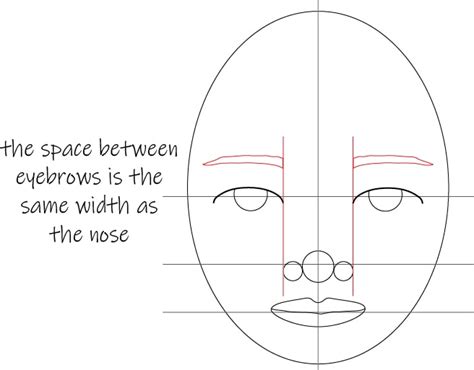 How To Draw Face Proportions - Engineercontest30