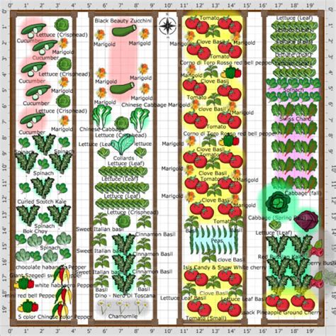 10 Functional And Productive Vegetable Garden Plans • Insteading