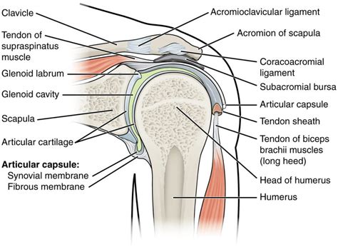 Mri Shoulder Labrum Tear