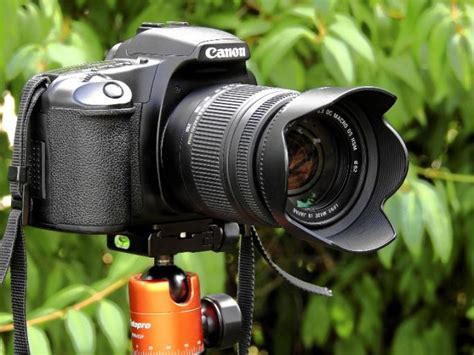 List of Best Camera Brands for Professional Photographers