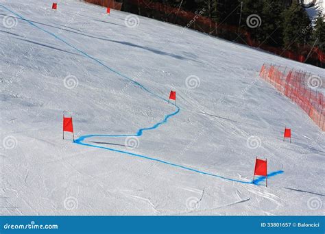 Giant Slalom Royalty Free Stock Photography - Image: 33801657