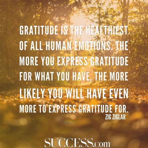 32 Quotes about Gratitude - ActionJacquelyn