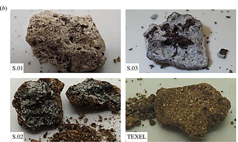 Origin of ambergris verified through DNA analyses