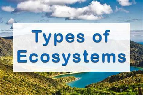 Different Types Of Ecosystems List With Examples And Photos, 47% OFF