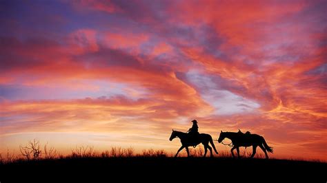 1364x768px | free download | HD wallpaper: 4K, Horses, Silhouette ...