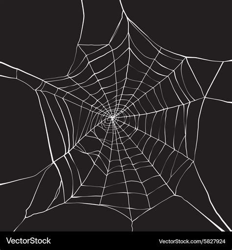 Spider web Royalty Free Vector Image - VectorStock