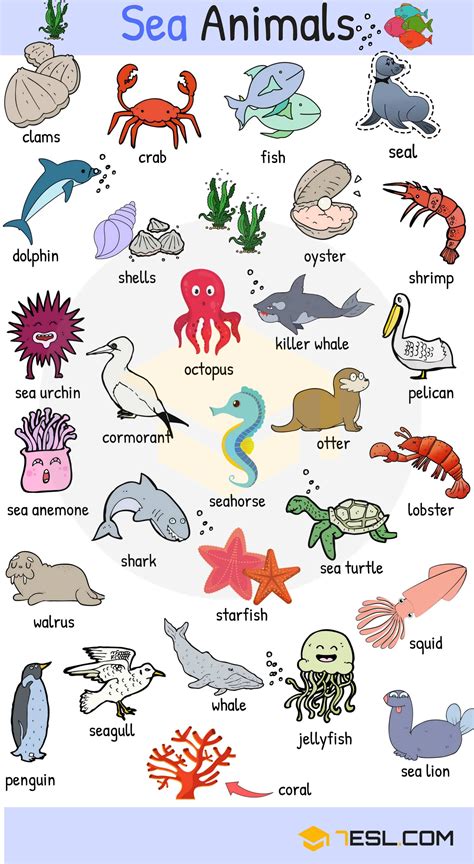 Ocean Animals Vocabulary Cards F7B