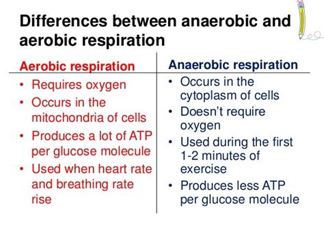 Aerobic & anaerobic respiration