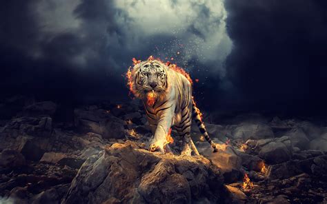 White Tiger Wallpapers - Top Free White Tiger Backgrounds - WallpaperAccess