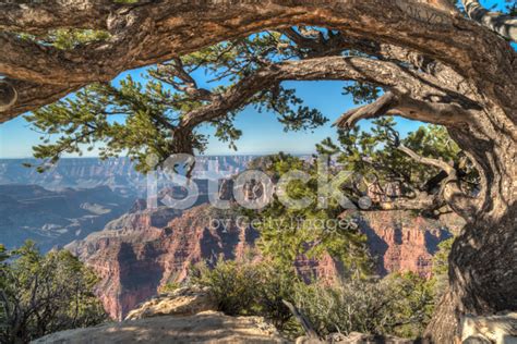 Grand Canyon, North Rim Stock Photo | Royalty-Free | FreeImages