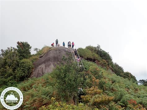 MY20190309-Gunung Ledang Hike | SGTREK