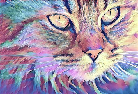 Mystical, Magical Cat Digital Art by Terry Davis - Fine Art America