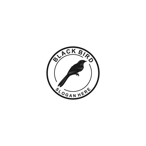 black bird logo template, vector, icon in white background 4496945 ...