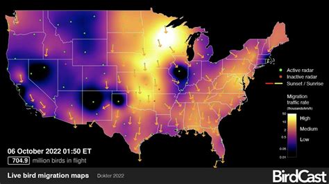 In today’s forecast: 4 billion birds migrate across North America ...