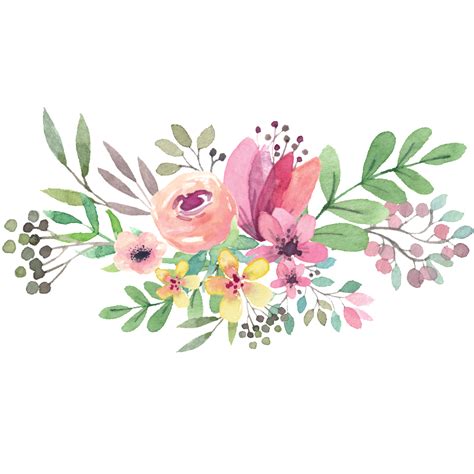 Watercolor Flower Png Free Download