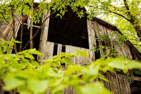 Abandoned Barn Photography Print Country Farmhouse Home Decor Barn Wall ...