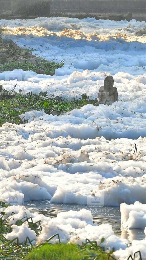 കാളിന്ദിയിലെ കൈലാസം- Yamuna River| Pollution| Manorama News