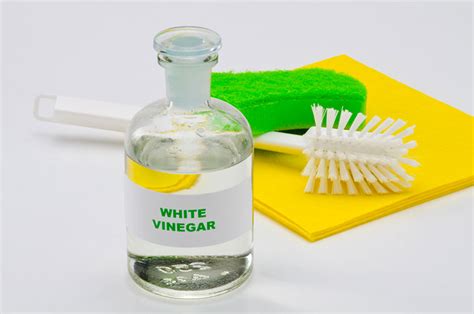 Does Vinegar Kill Dust Mites? - Fighting Dustmites